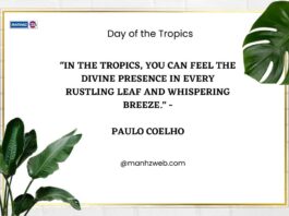 International Day of the Tropics Quotes: Celebrating the Richness of Tropical Region